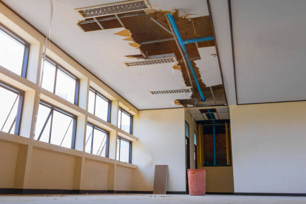 , IL Water damage restoration Company