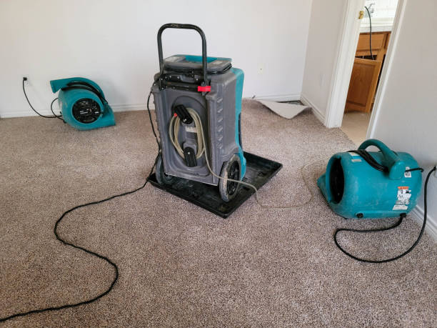 Best Water damage cleanup near me  in Oglesby, IL