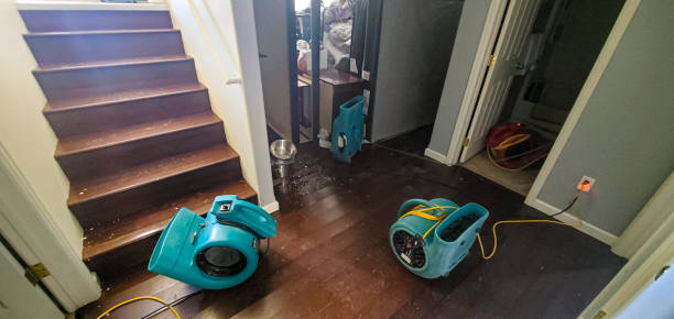 Best Residential water damage restoration  in Oglesby, IL