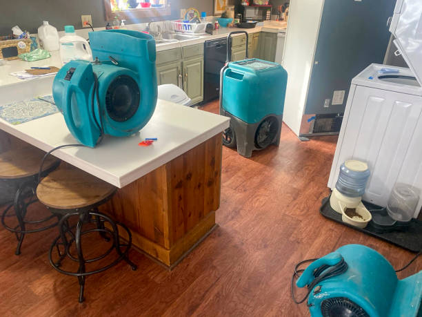 Best Carpet water damage restoration  in Oglesby, IL