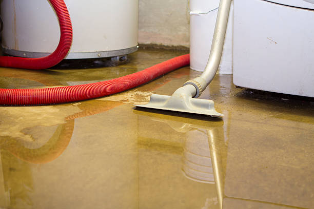 Best Professional water damage repair  in Oglesby, IL