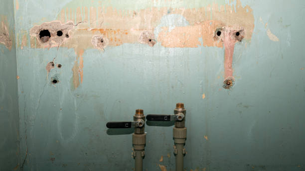 Best Water damage restoration near me  in Oglesby, IL
