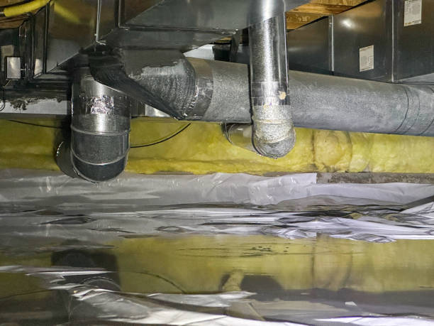 Best Water damage contractors near me  in Oglesby, IL