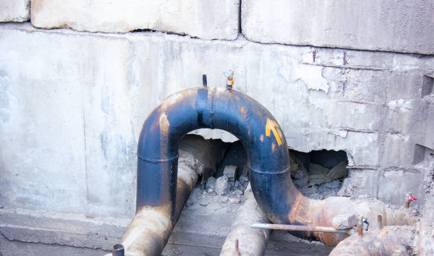 Best Mold removal after water damage  in Oglesby, IL